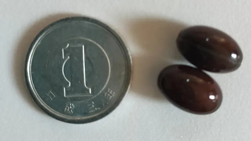 めなりの１粒の大きさと１円玉の比較